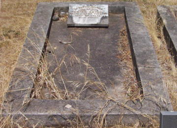 Full-size image