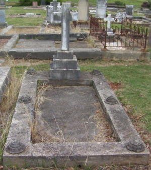 Full-size image