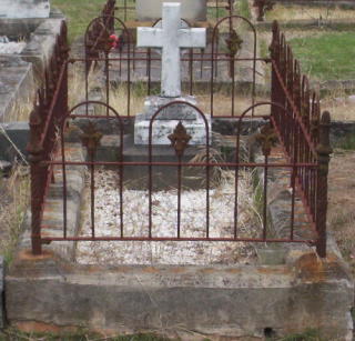 Full-size image