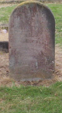 Full-size image
