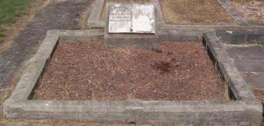 Full-size image
