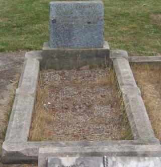 Full-size image