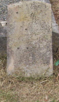 Full-size image
