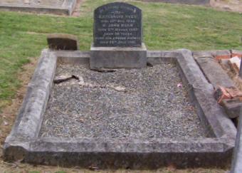 Full-size image