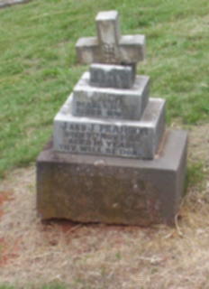 Full-size image