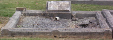 Full-size image