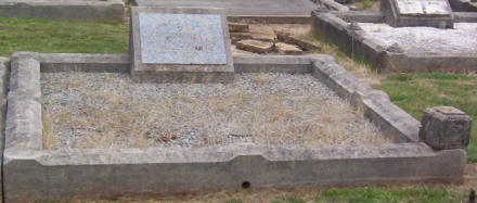 Full-size image