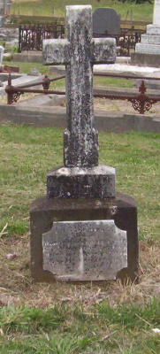Full-size image