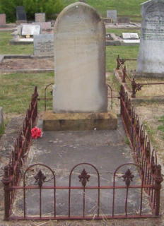 Full-size image