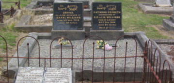 Full-size image