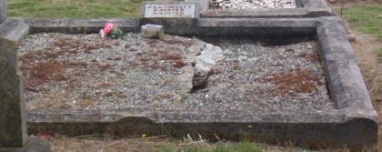 Full-size image