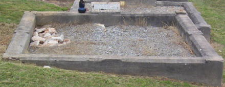 Full-size image