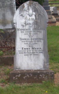 Full-size image