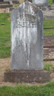 Full-size image