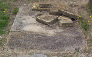 Full-size image
