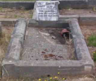 Full-size image