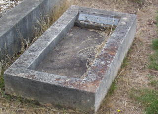 Full-size image