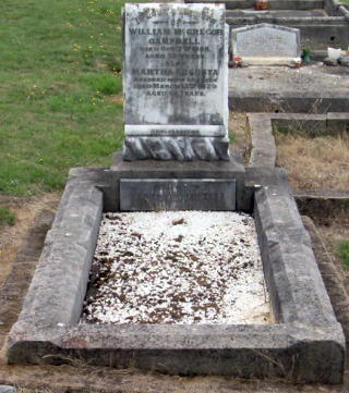 Full-size image
