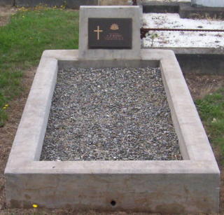 Full-size image