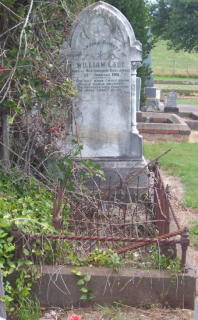 Full-size image
