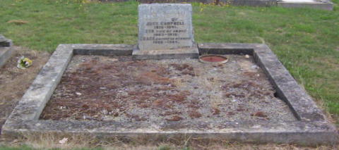 Full-size image