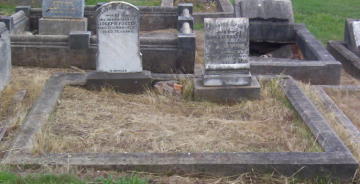 Full-size image