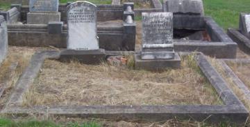 Full-size image