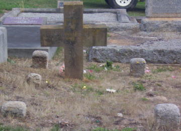 Full-size image