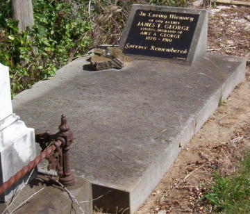 Full-size image