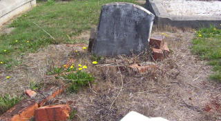 Full-size image
