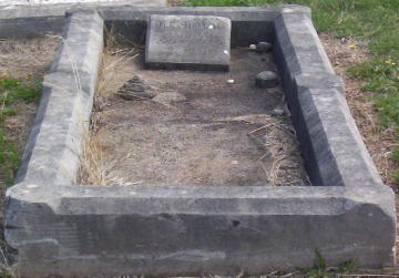 Full-size image