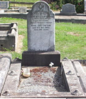 Full-size image