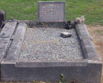 Full-size image