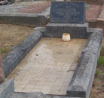 Full-size image