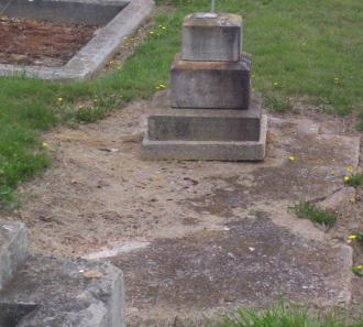 Full-size image