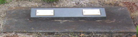 Full-size image