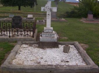 Full-size image
