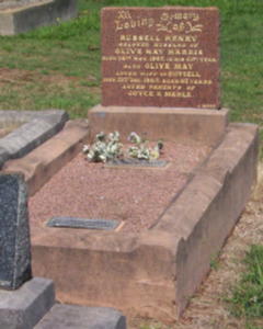 Full-size image