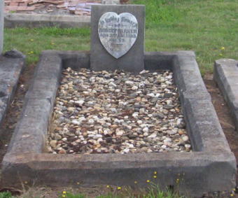 Full-size image