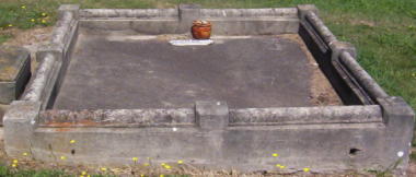 Full-size image