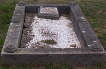 Full-size image