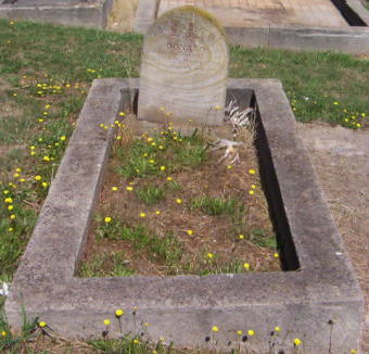 Full-size image