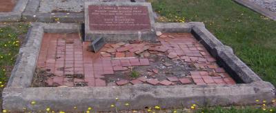 Full-size image