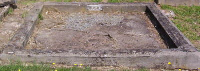 Full-size image