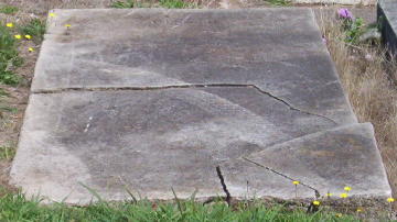 Full-size image