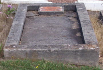 Full-size image