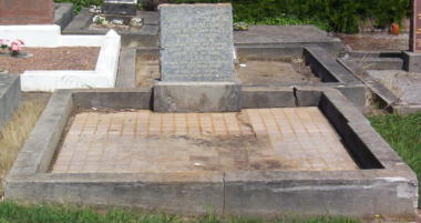 Full-size image