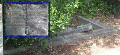 Full-size image