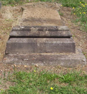Full-size image