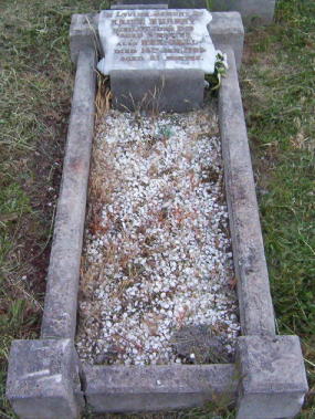 Full-size image